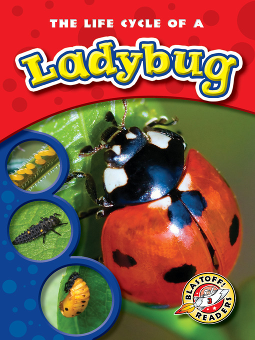 Title details for The Life Cycle of a Ladybug by Mandy Kaplan - Available